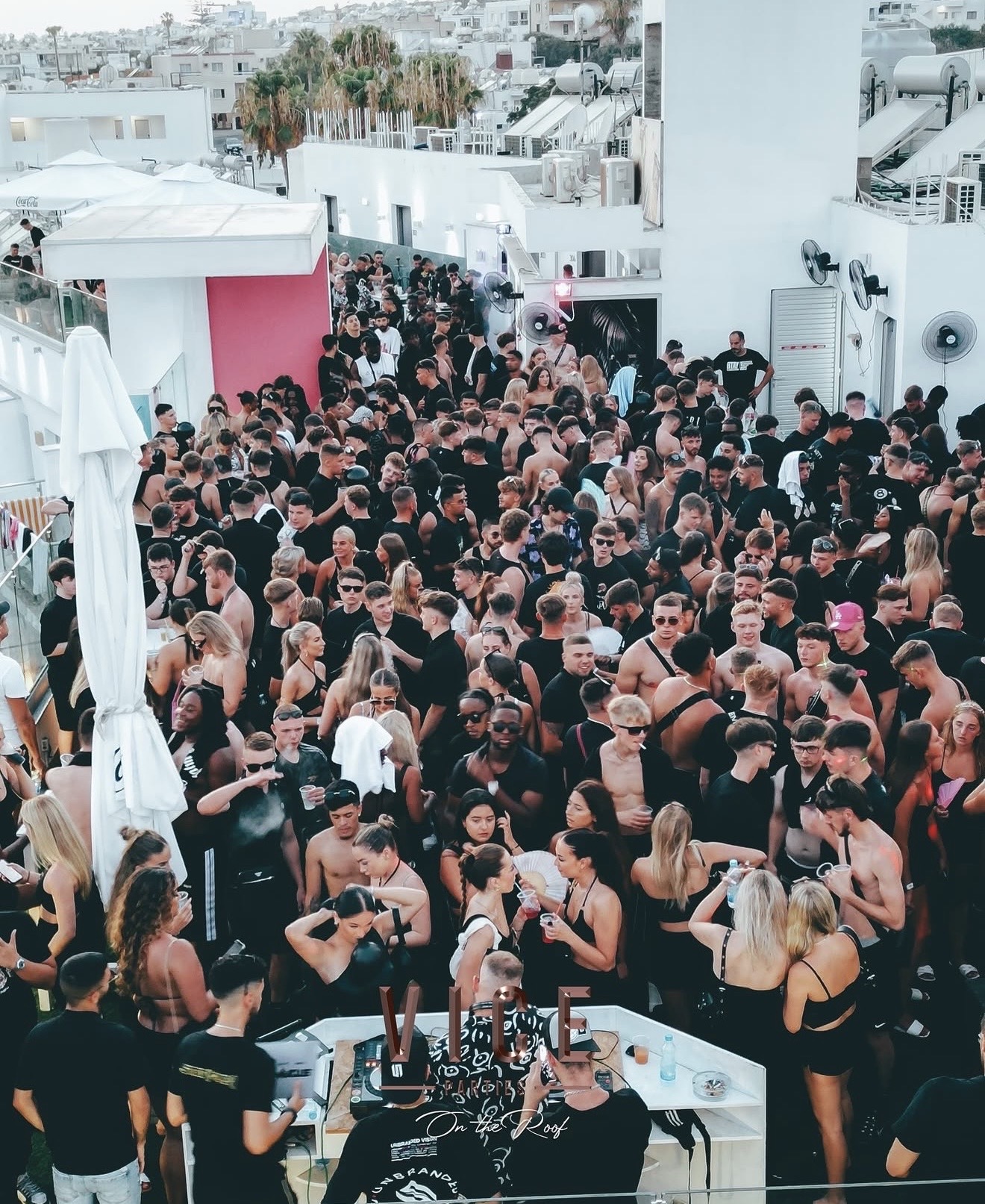 Summer Dreams party atmosphere